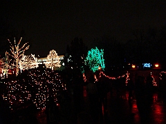 105 Toledo Zoo Light Show [2008 Dec 27]